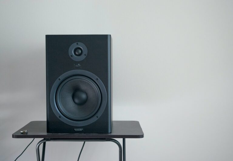 Bookshelf speakers stands integrated amplifier cabinet