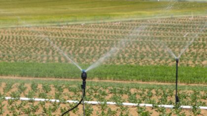 Home automation in the garden: practical tips for irrigation, lighting and sensors
