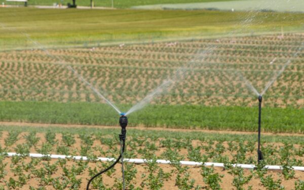 Home automation in the garden: practical tips for irrigation, lighting and sensors
