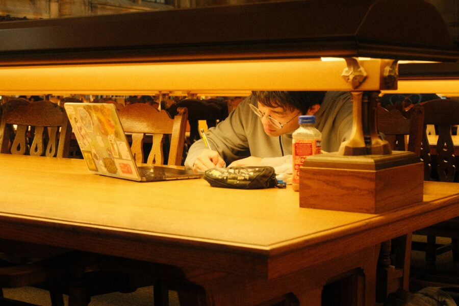 Student using laptop library