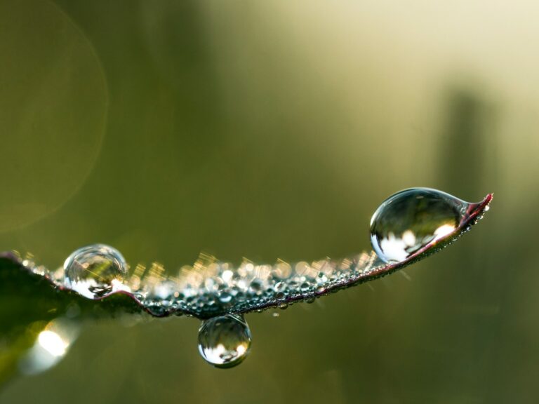 Close smart band water droplets