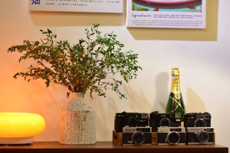 Indoor smart camera