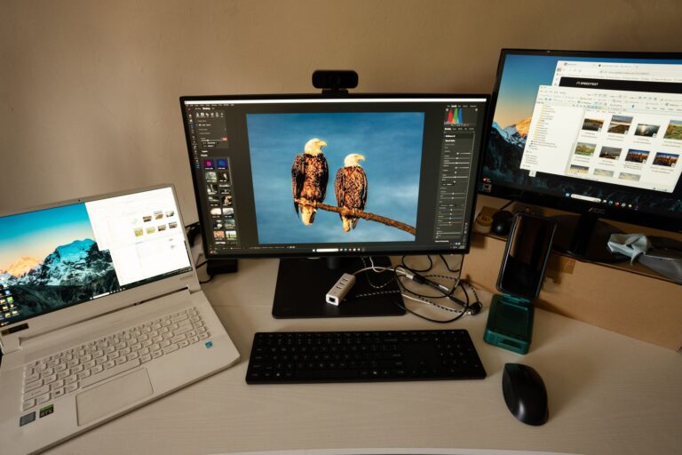 Laptop portable monitor