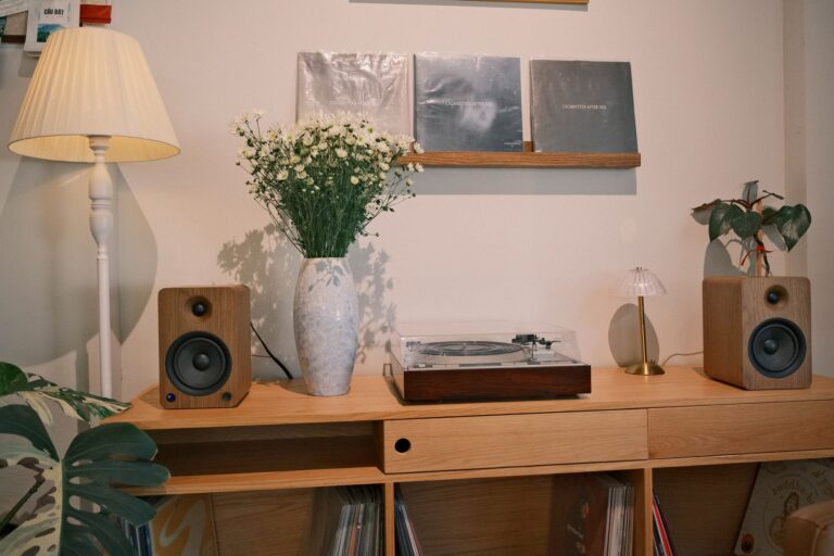 Turntable phono preamp