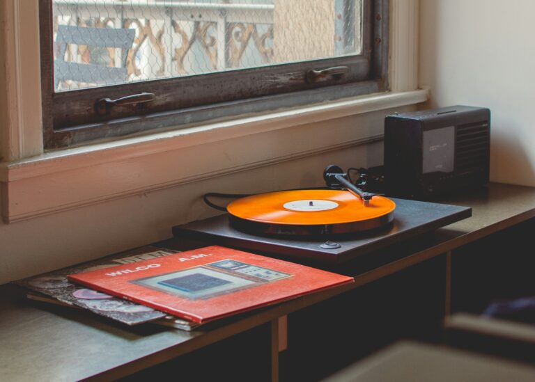 Turntable bookshelf speakers