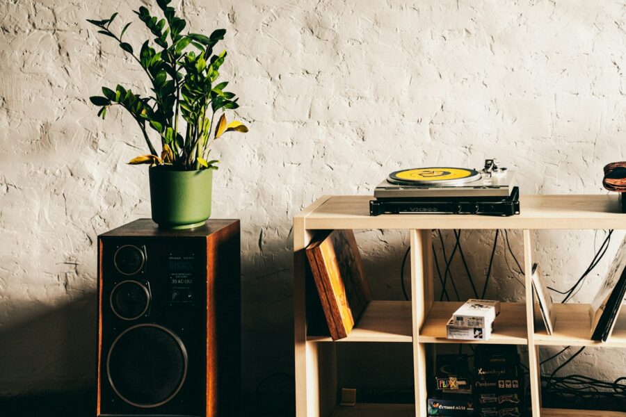 Turntable bookshelf speakers