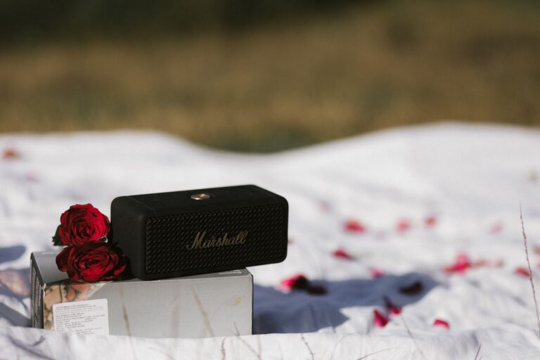 Bluetooth speaker outdoor