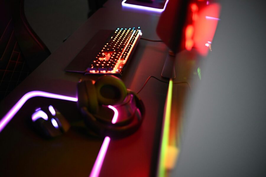 Gaming mouse large