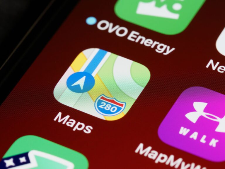 Family using map