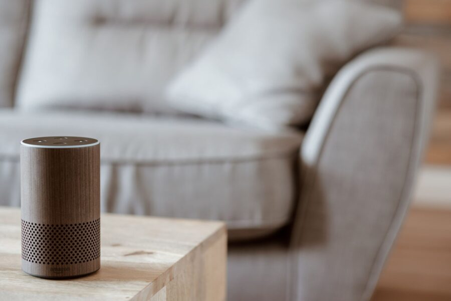 Smart speaker living