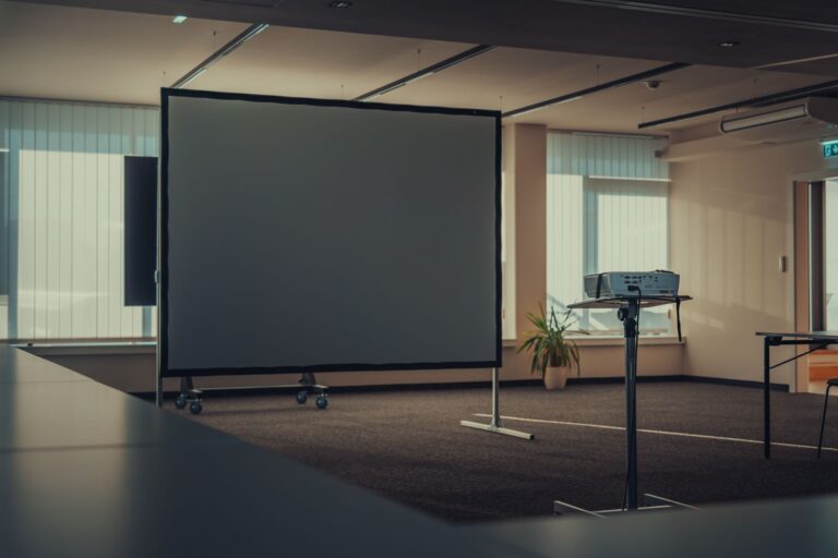 Portable projector tripod backyard screen