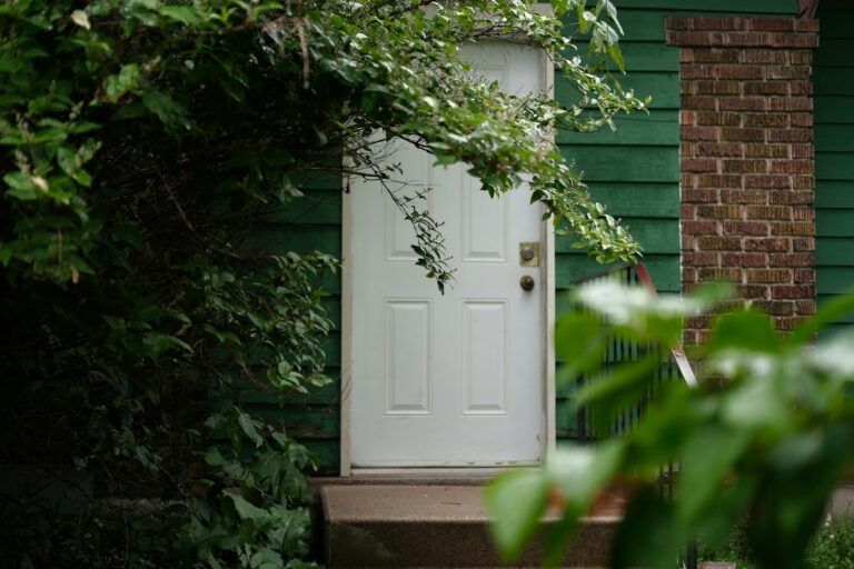 Video doorbell house