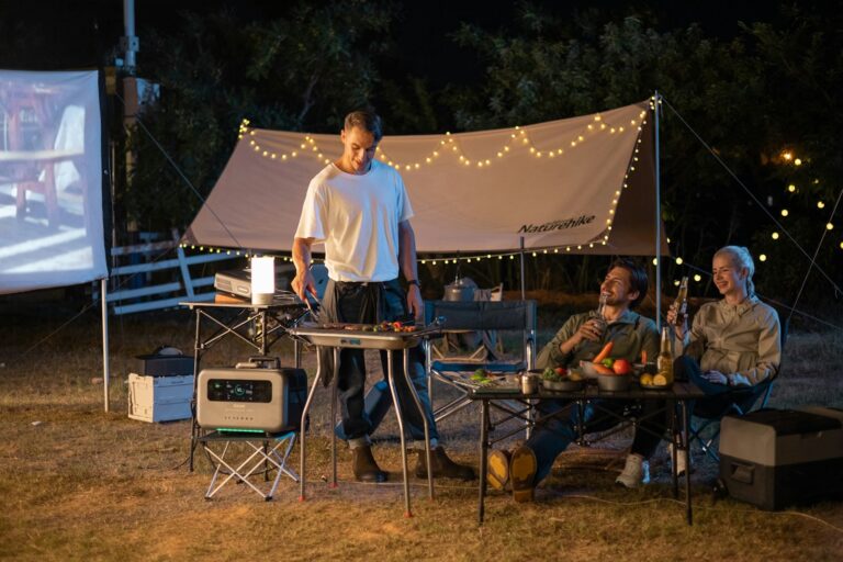 Portable projector camping
