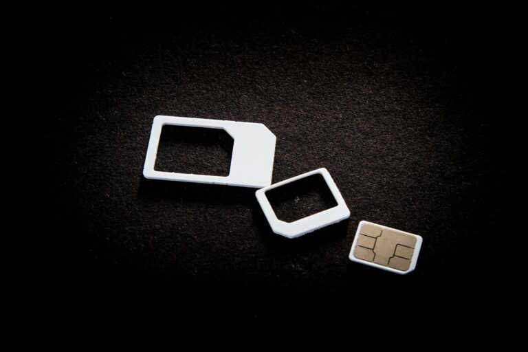 Dual sim tray