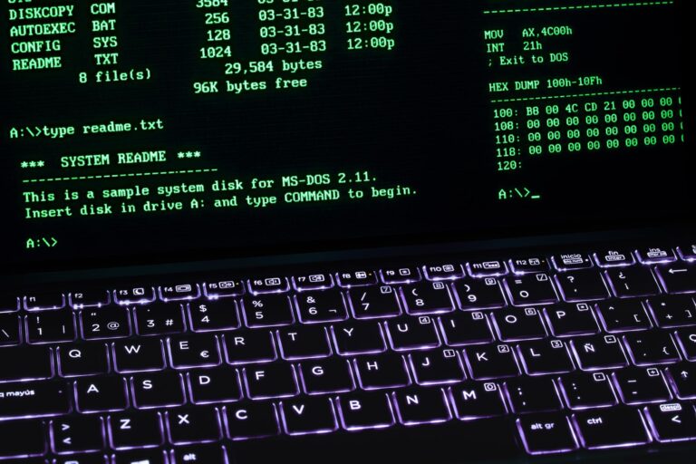 Linux terminal laptop