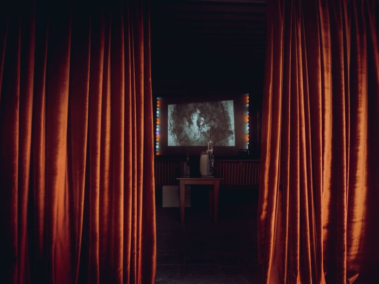 Home projector screen