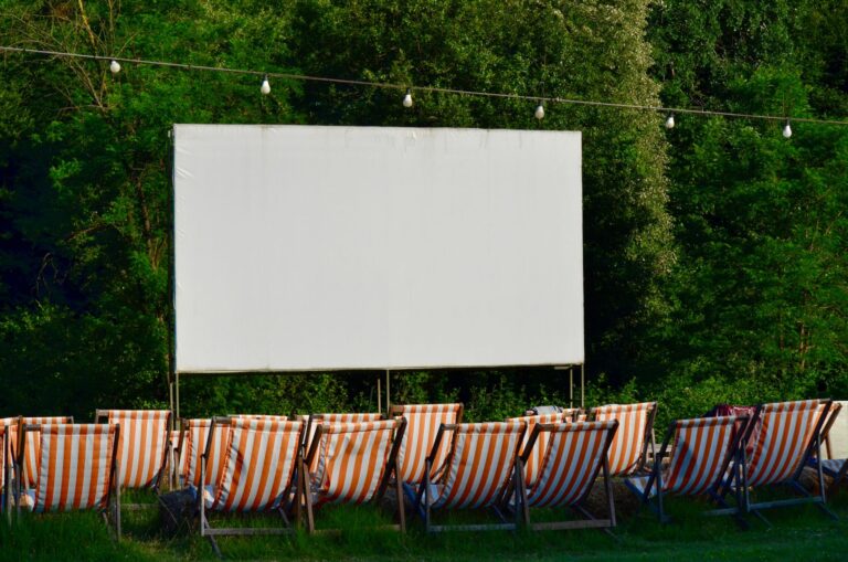 Outdoor portable projector