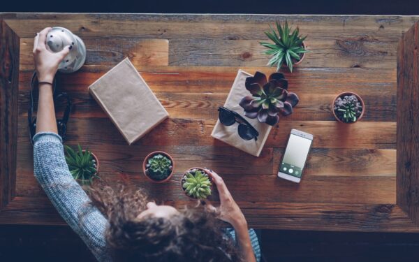 Sound quality on the go: Bluetooth speaker buying guide for home, picnics and small parties