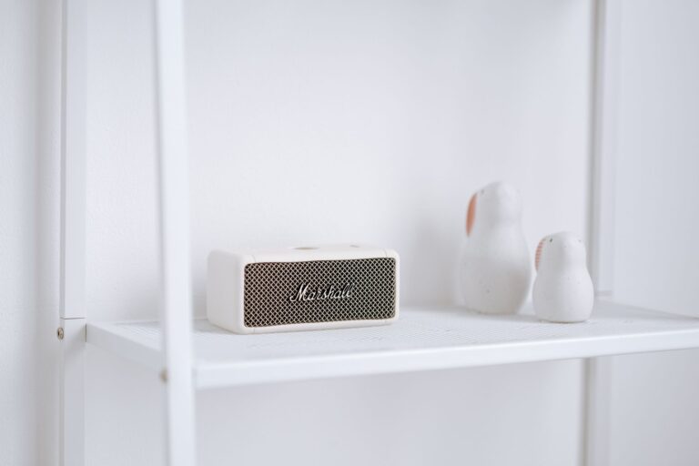 Wireless speaker shelf